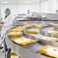 Learn More: Factory Maintenance in Food Processing