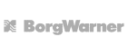 BorgWarner Logo