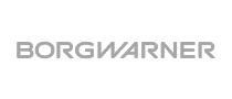 Borgwarner logo.