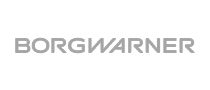 Borgwarner logo.
