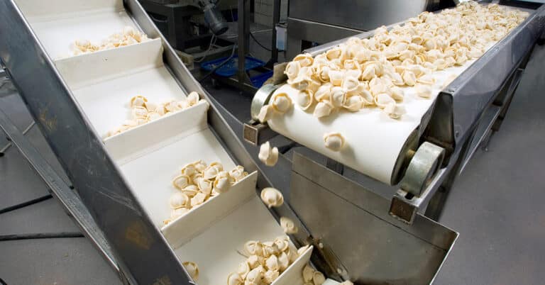 Food industry production line in ravioli workshop.